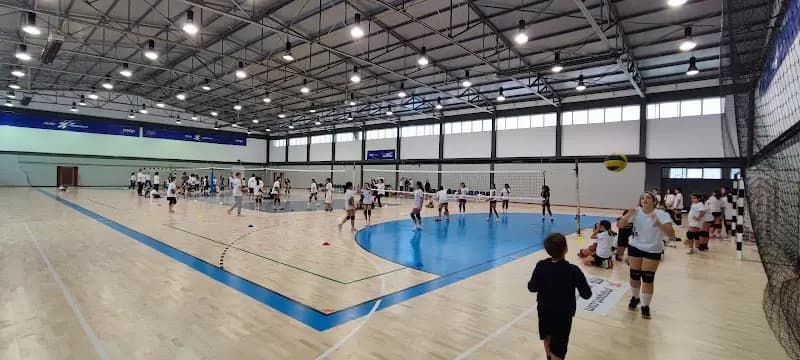 Grupo Desportivo e Cultural de Gueifães