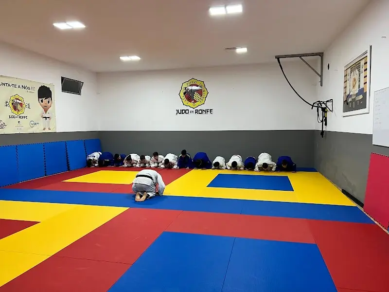 Judo De Ronfe
