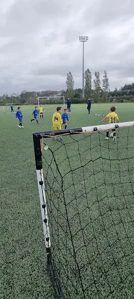 Escola de Futebol Dragon Force UMaia