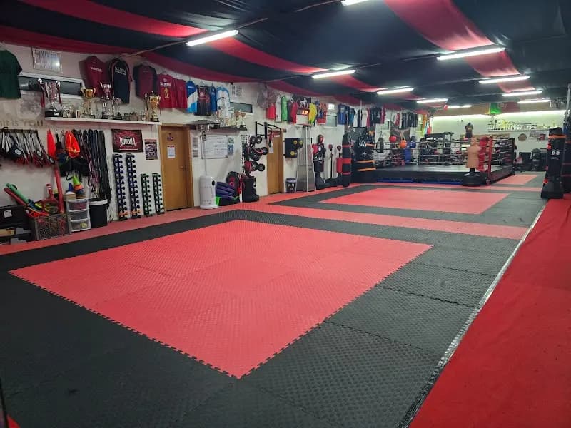 Associação Desportos de Combate KTF -Kickboxing, Boxe, Kempo, MuayThai, Jiu-Jitsu, MMA, Ginásio, Aulas PT, Aulas Grupo.