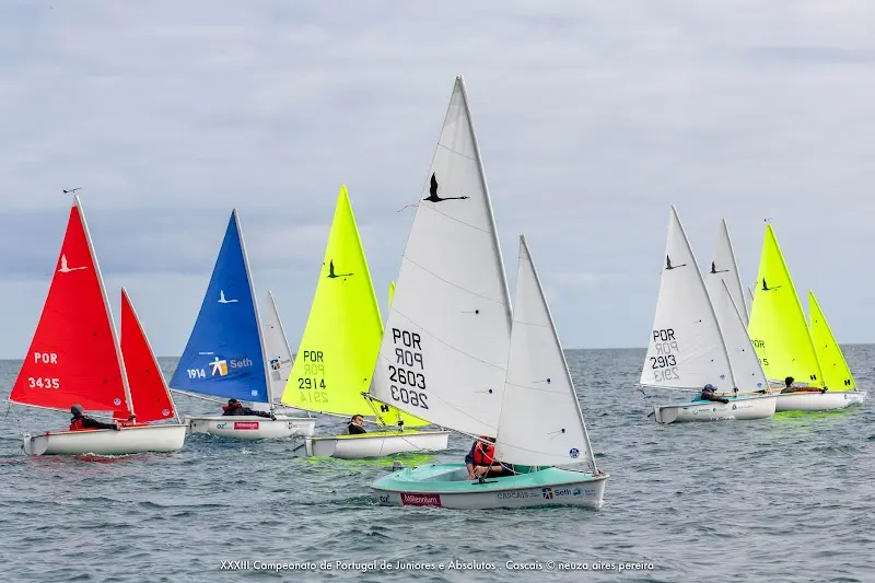 Teia D´Impulsos - Associação Social, Cultural e Desportiva de Portimão