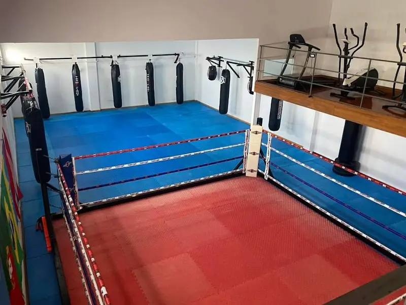 Team RS Fight • Associação kickboxing e Muaythai de Évora