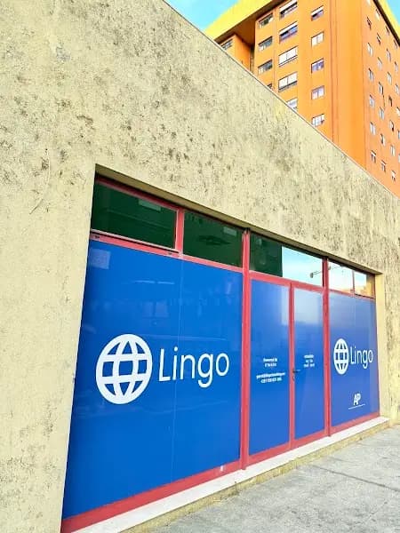 Lingo - AP Vila D´este