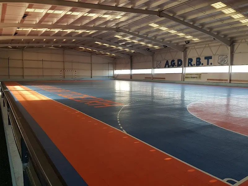 Pavilhão Joaquim Aranha - Tojeira