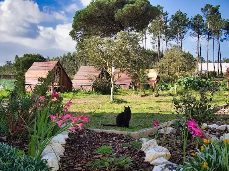 Music Together Silver Coast