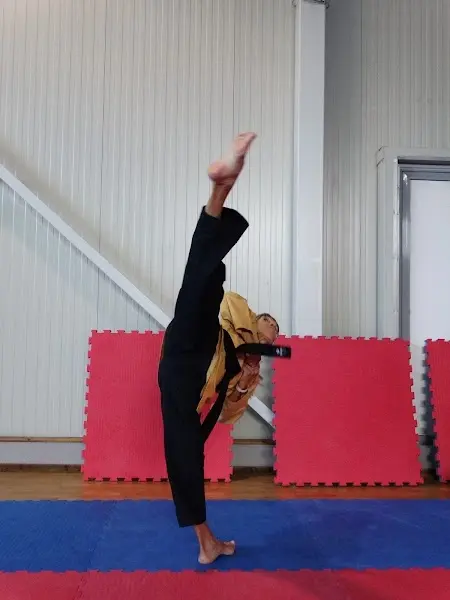 Academia Taedo Taekwondo Portugal