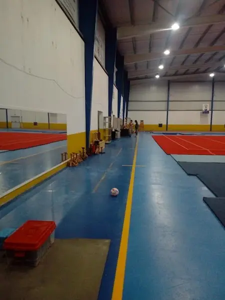 EGFA - Escola Ginástica Formação Acrobática