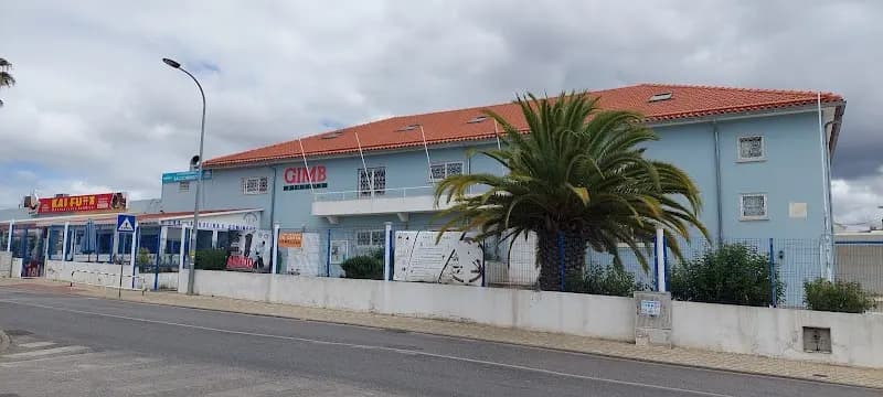 Biodanza Henrique Narciso - Parede e Carcavelos - Cascais