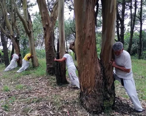 O Meu Dojo - Kyokushin Karaté - Vila do Conde - Mindelo - Amarante - Coimbra - Abrantes - Lisboa -