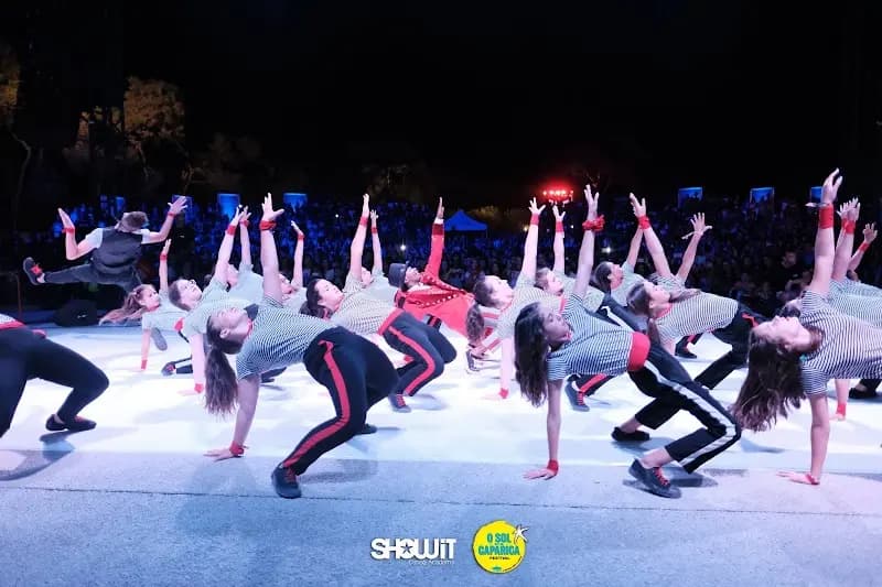 Showit Dance Academy
