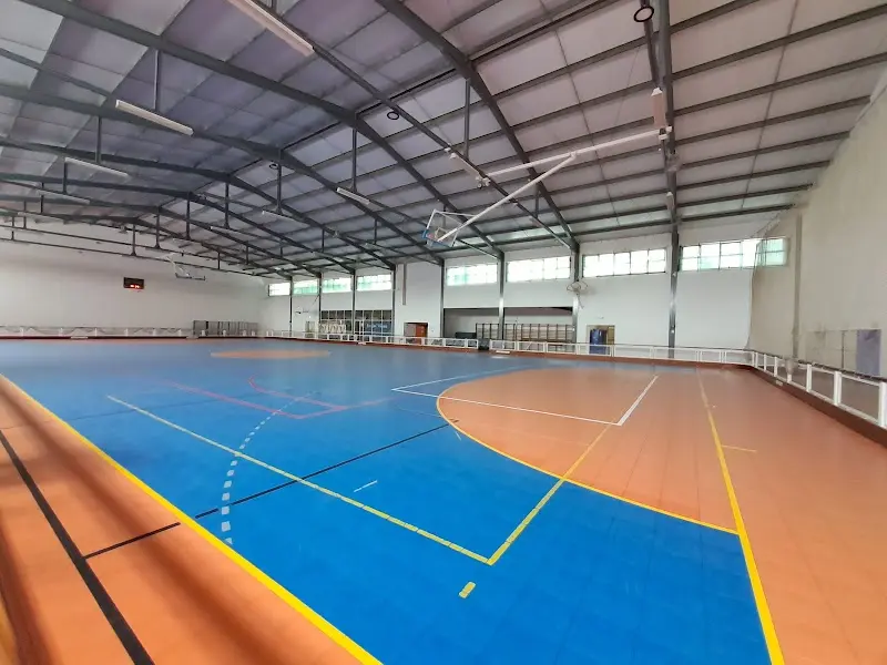 Hóquei Clube De Viseu