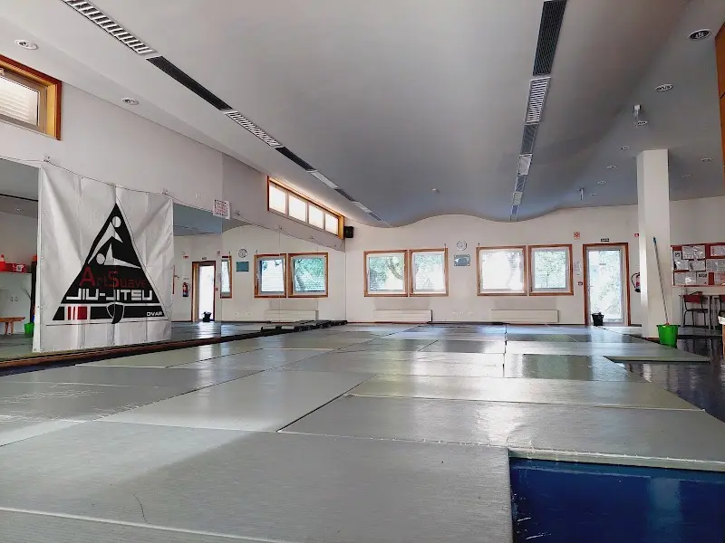 ARTSUAVE JIU JITSU - Ovar