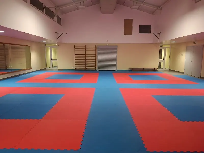 Buyukan - Bujinkan Tsuru Dojo Parede