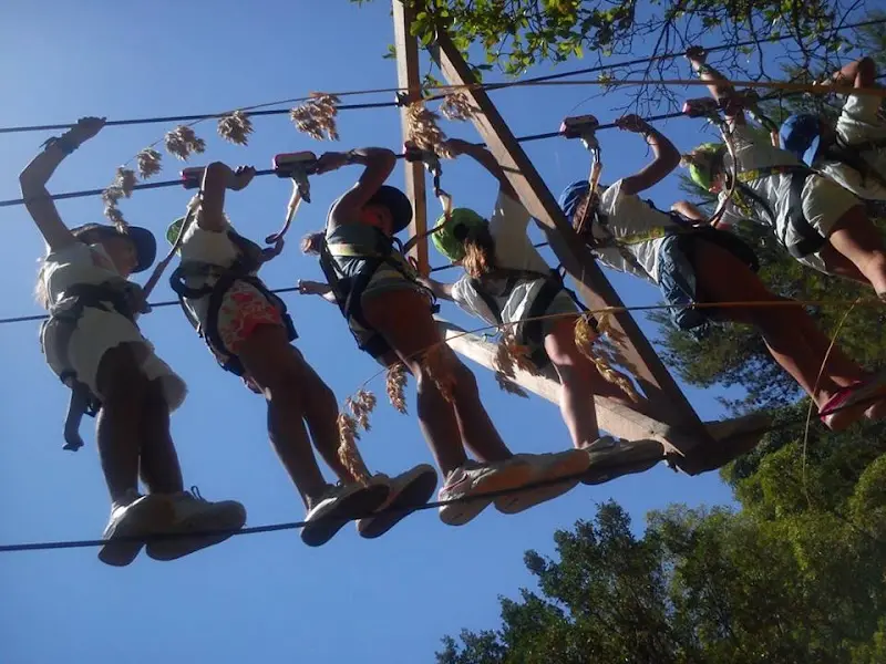 Roda Viva - Casa Praia Grande