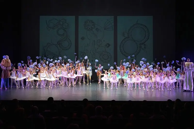 Academia De Bailado De Guimarães