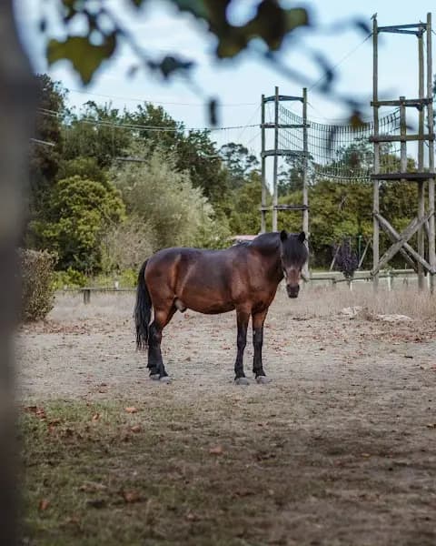 Quinta Pedagógica de Aveiro