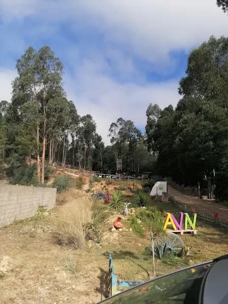 Associação Vitamina Natureza