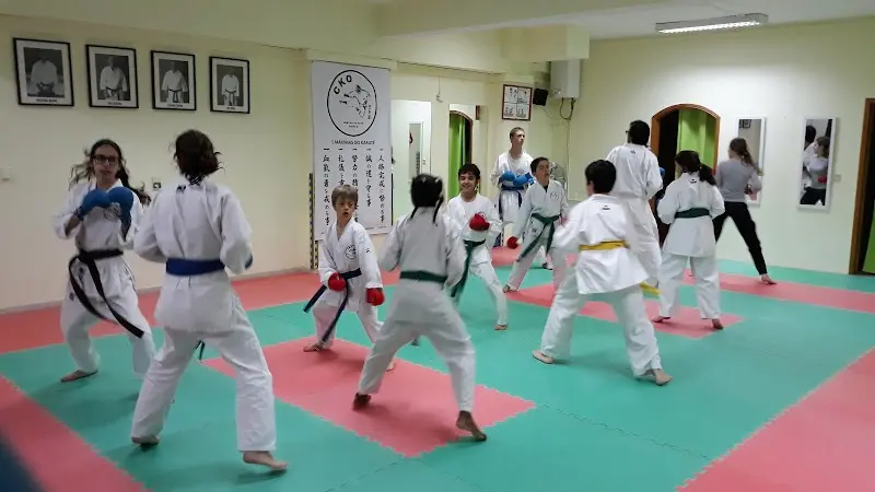 Centro Karate Kosuta - Oeiras