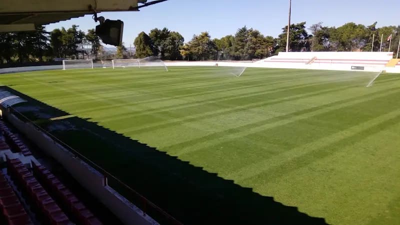 União Desportiva de Santarém