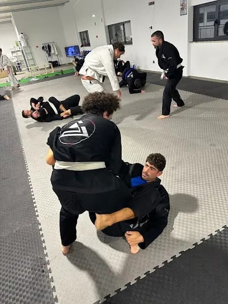 DP Jiu-Jitsu