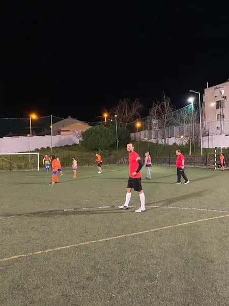 C.F. Metodologia TOCOF