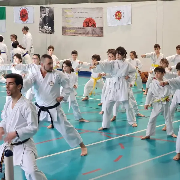 ASKE - ASSOCIAÇÃO SHOTOKAN KARATE-DO ELITEBOX
