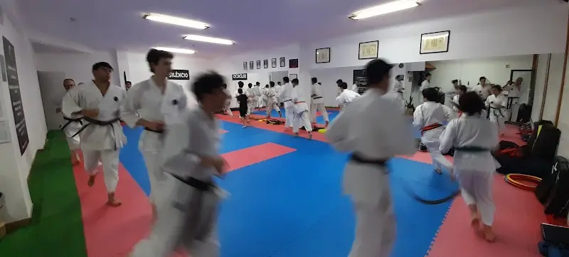SeichinDojo Okinawa Goju-Ryu