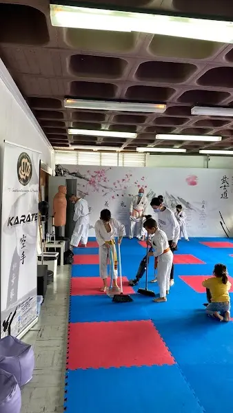 NINTAI DOJO - ACADEMIA DE ARTES MARCIAIS, FITNESS E SAÚDE