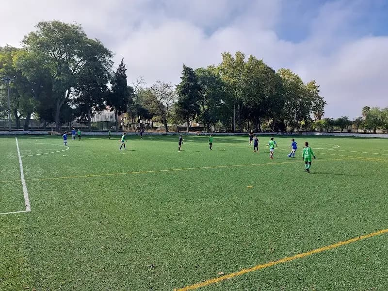 Escola de Futebol Os Belenenses - Loures