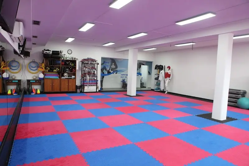 Associação Taekwondo Maximus Maia