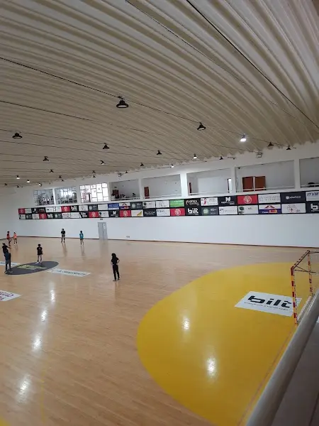 Juventude Desportiva do Lis