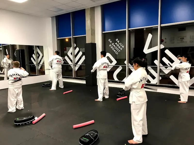 Level Up Artes Marciais