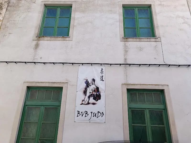 BVB Judo