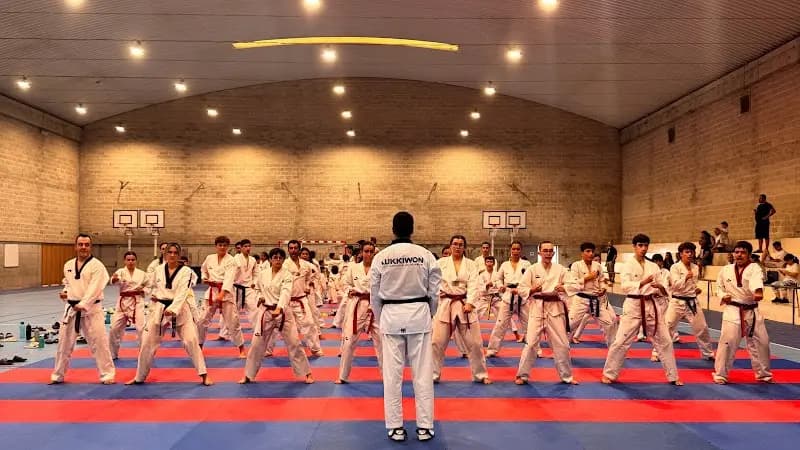 Taekwondo Minho