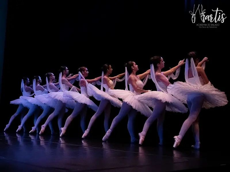 Artis - Academia de Bailado de Vila Nova de Famalicão
