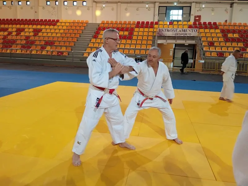 Associação De Judo Do Distrito De Santarém