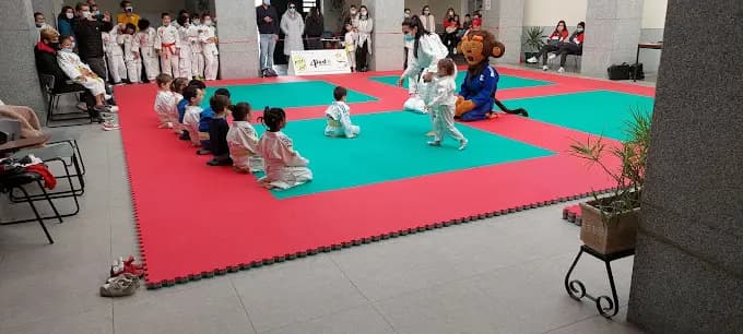 Associação 4Judo Project