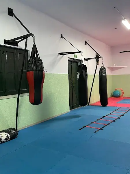 Team Flávio Santos - Santarém