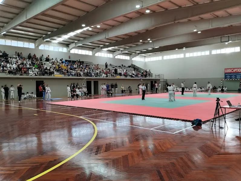 Judo Beira Ria