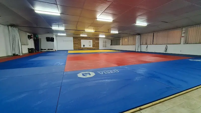 Icon Jiu-Jitsu Team Viseu