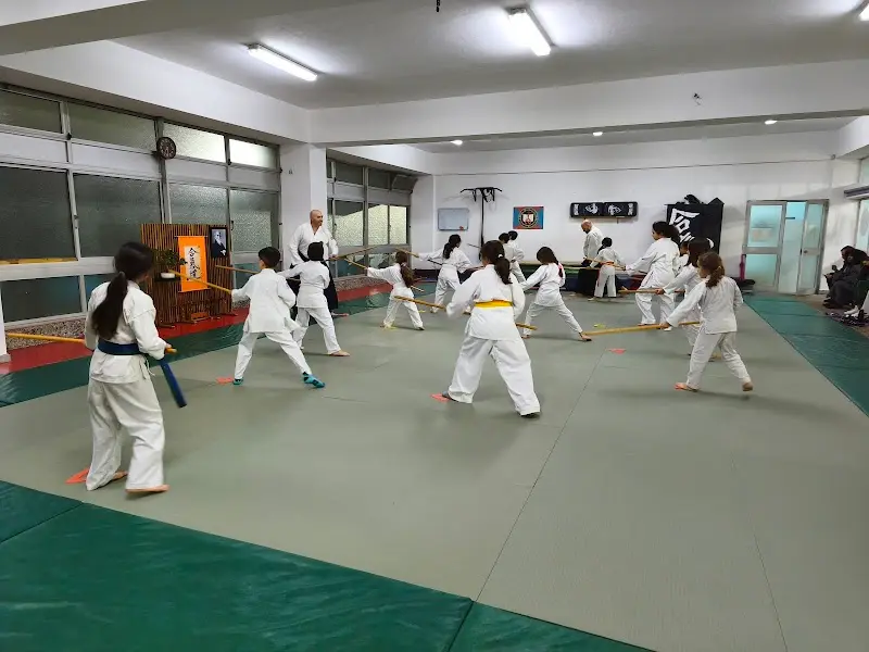 Aikido - Dojo Siderurgia Nacional - ACPA