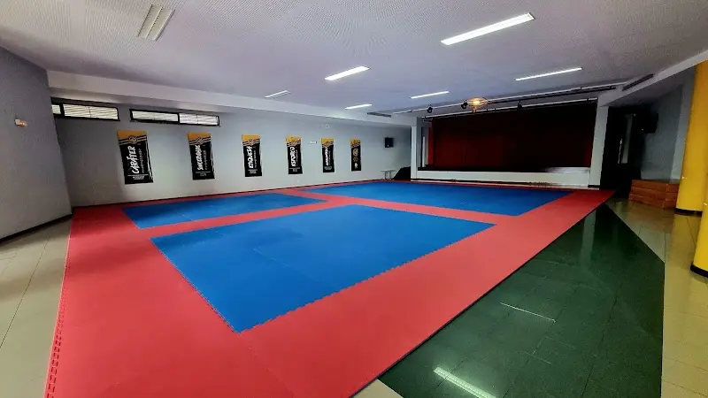 CKDF - CLUBE KARATE DO FUNCHAL