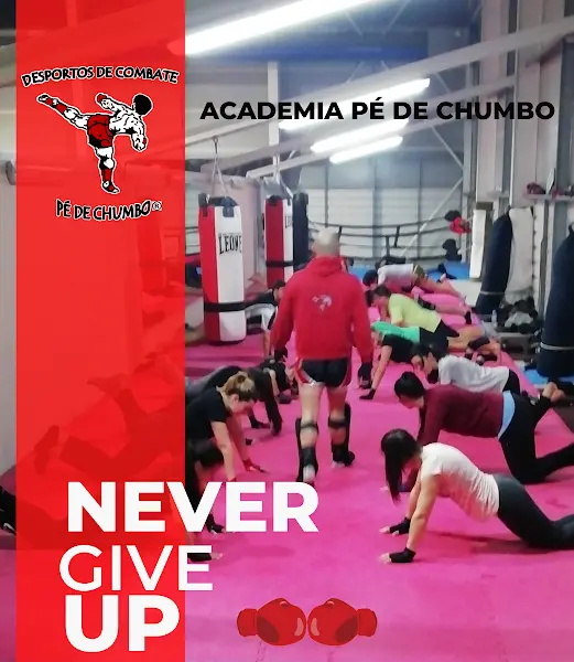 Academia Pé de Chumbo