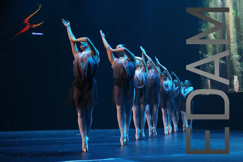 EDAM - Conservatório de Dança Ana Mangericão