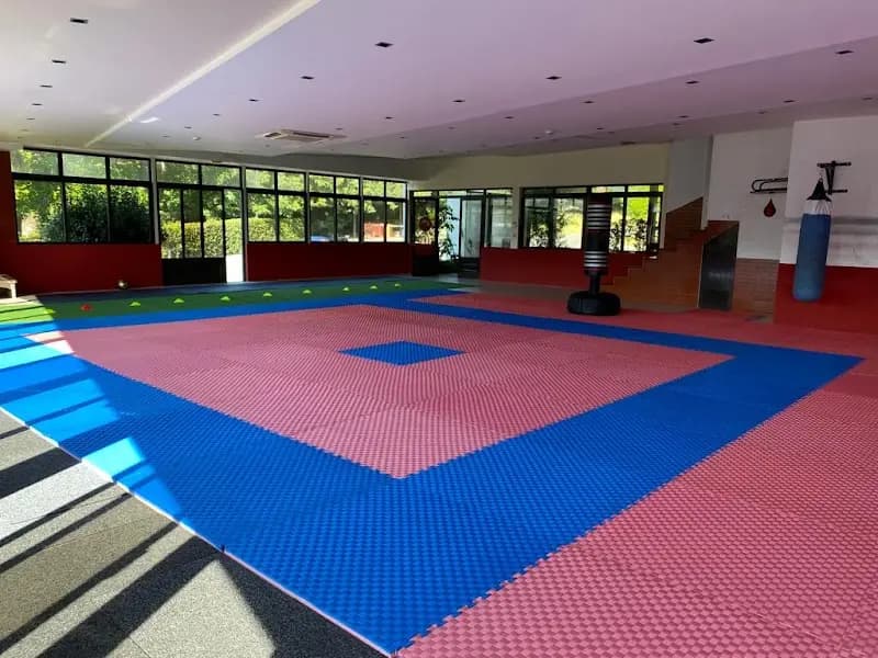 Alex Ryu Jitsu Casa do Lago