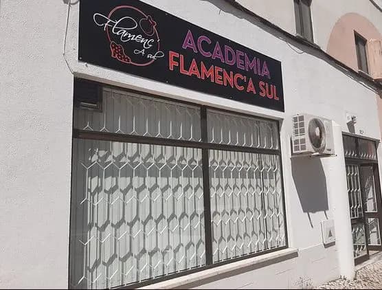 Academia Flamenc'A Sul