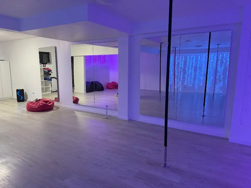 Pole Dance Palacio