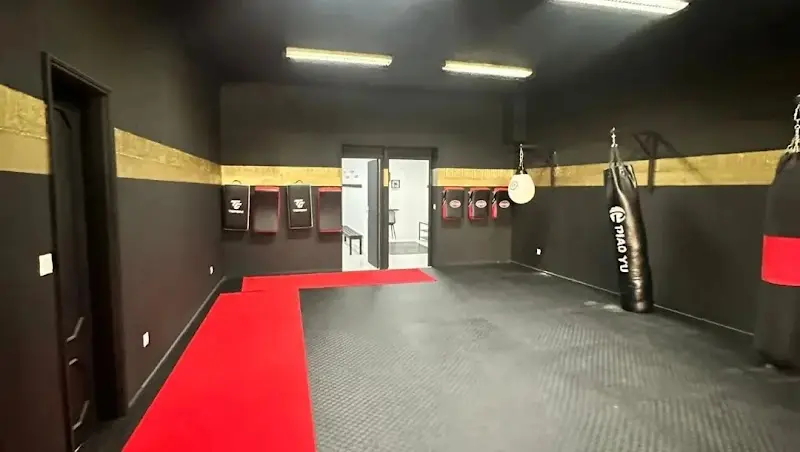 ANKDA - Associação Nacional de Kenpo e Disciplinas Associadas