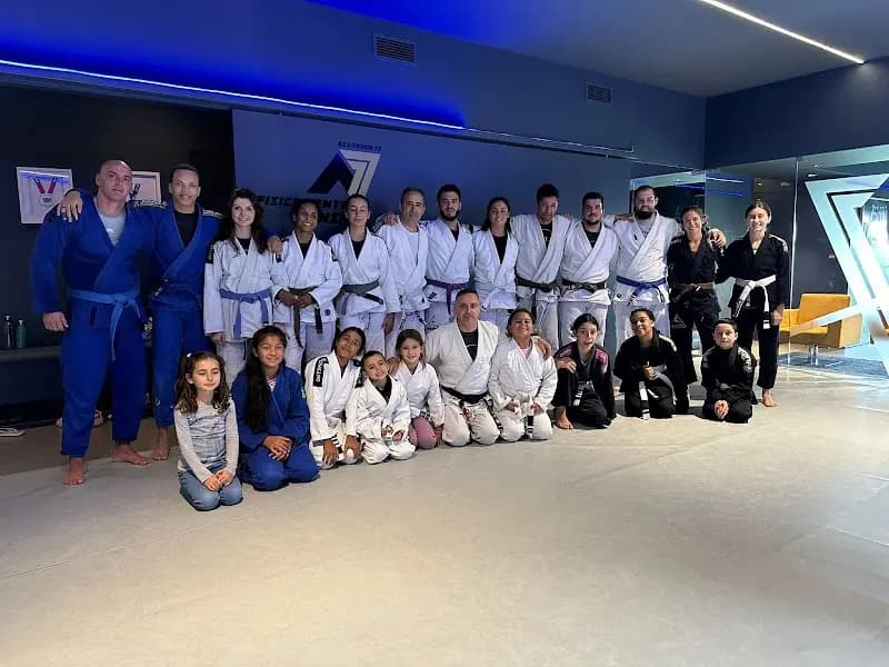 ARTSUAVE JIU JITSU - CC