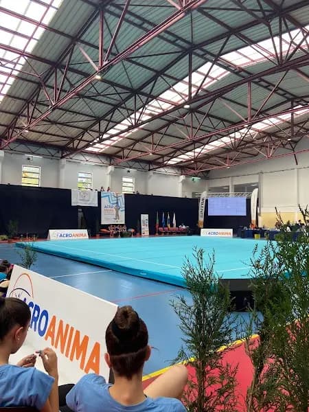 Gimnoanima - Escola Ferreira de Castro